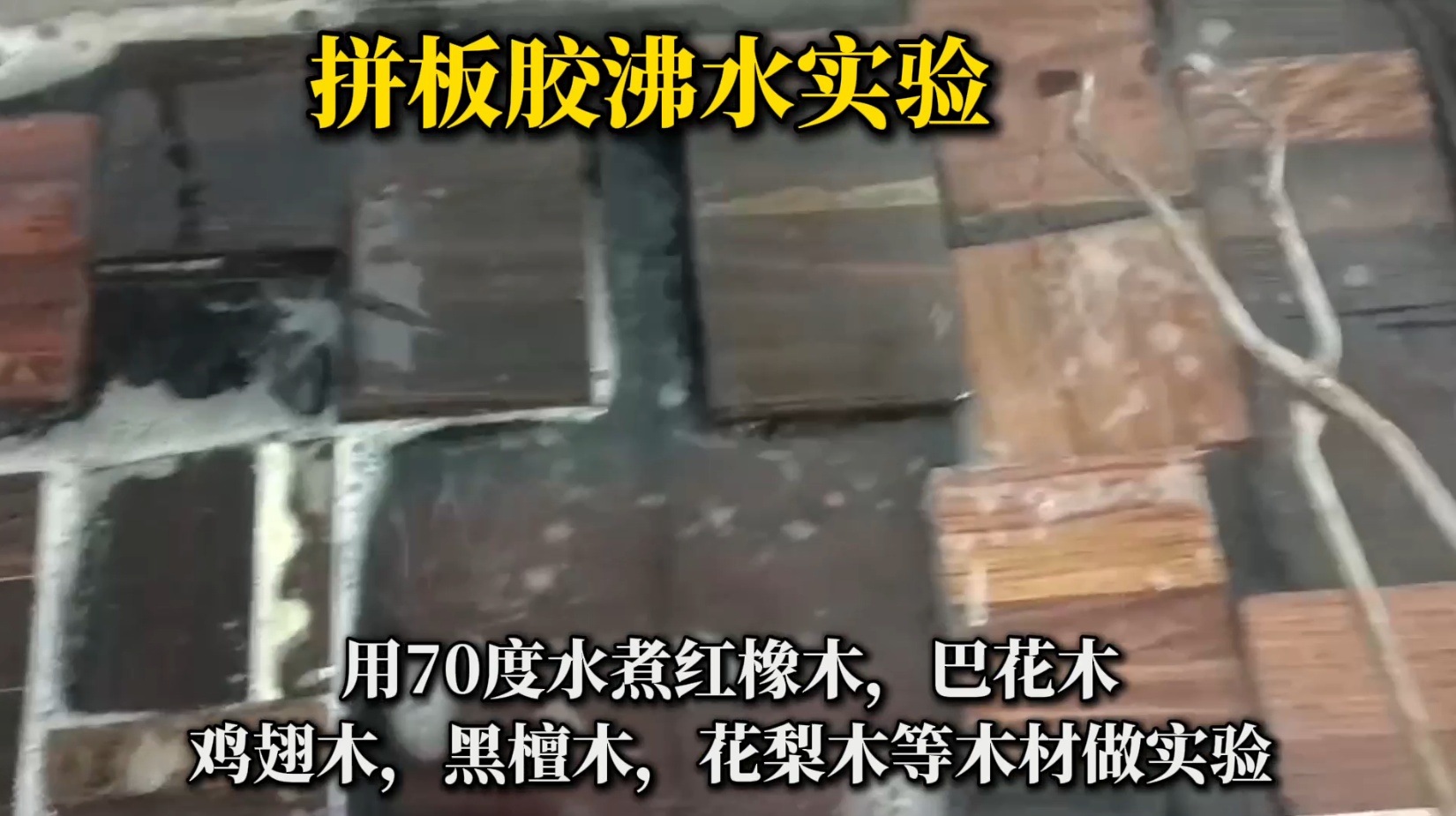 欣凱利拼板膠怎么樣？適合用在什么木材上