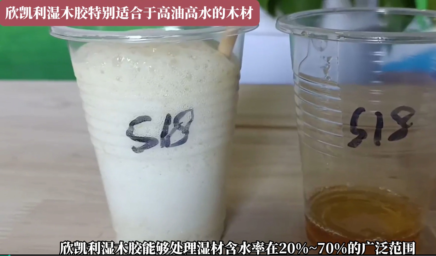 欣凱利濕木膠特別適合于高油高水的木材，快干、快固化