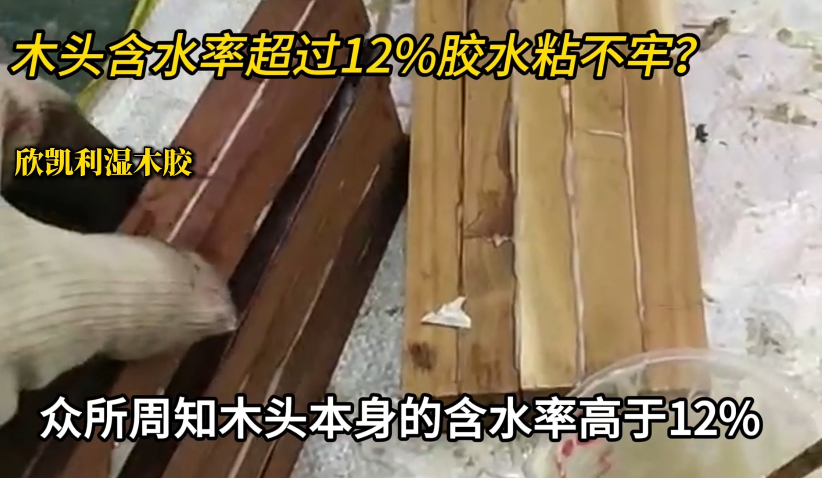欣凱利濕木膠可用于：橡木、胡桃木、楓木、櫻桃木松木、杉木等木種