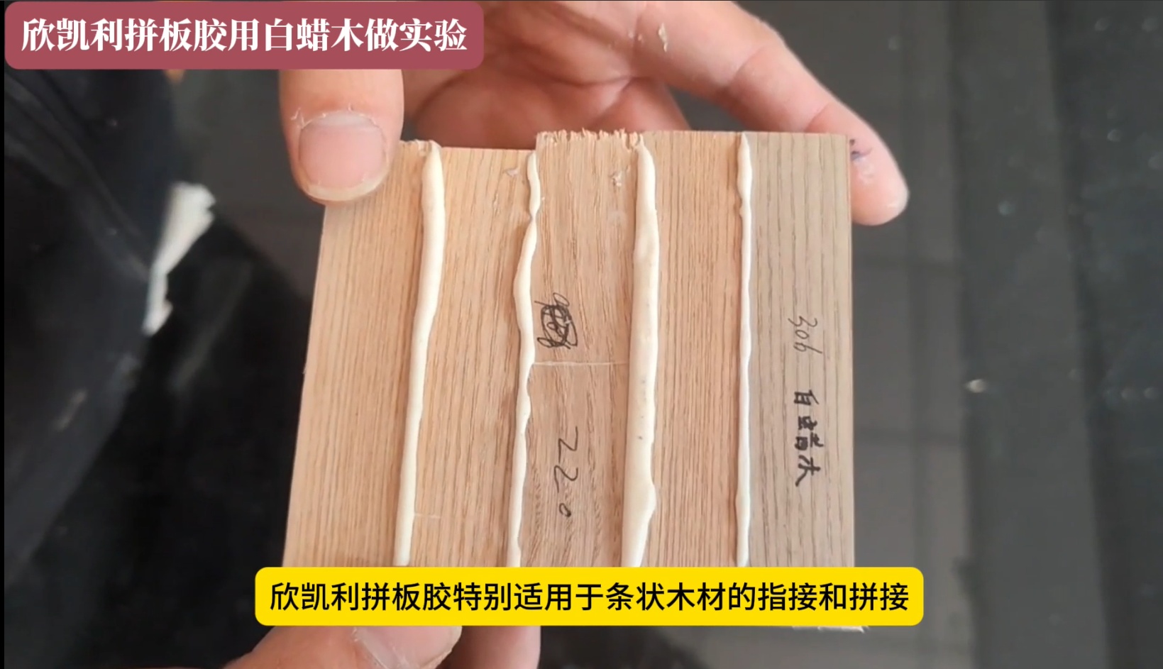 欣凱利硬木拼板膠的適用木材種類(lèi)有哪些
