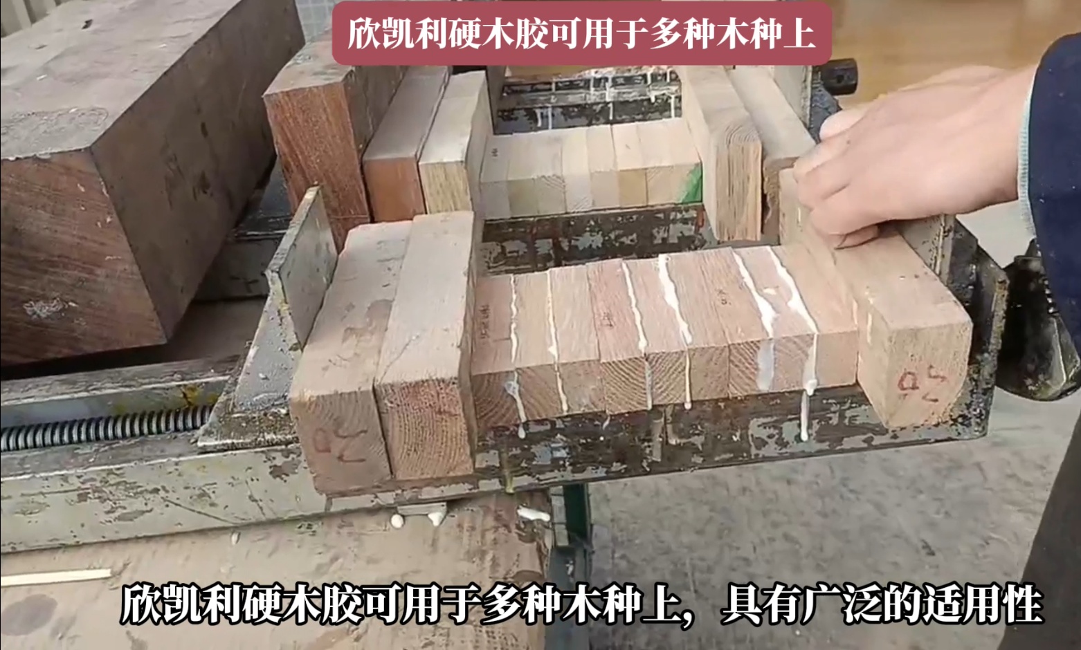 欣凱利硬木膠能夠深入木材裂縫和孔洞，形成牢固的粘接層